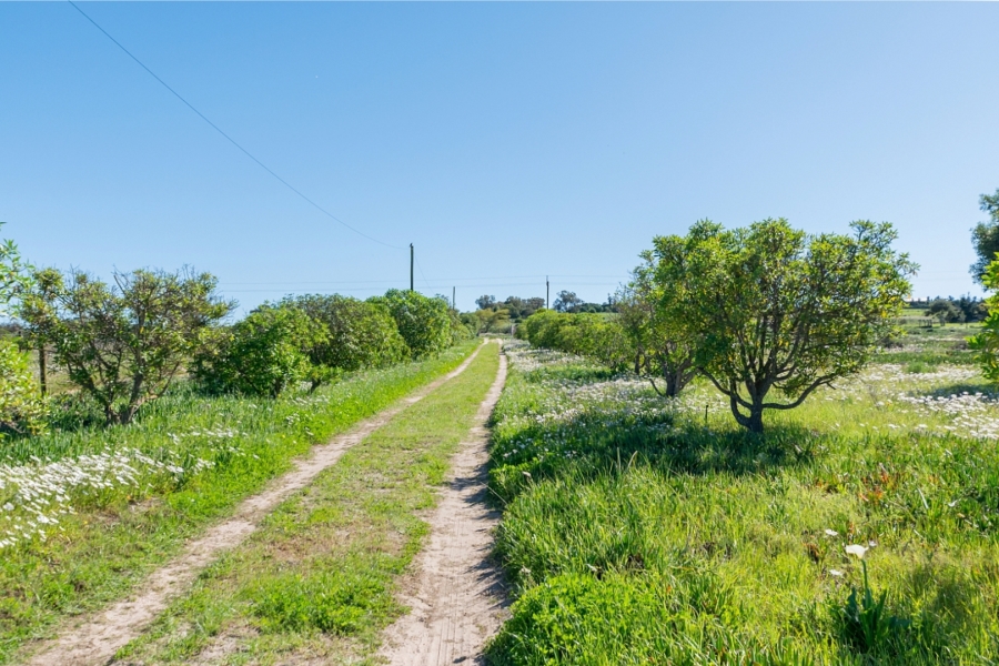 5 Bedroom Property for Sale in Trekoskraal Western Cape